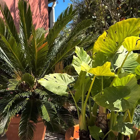 Appartement Marili Roda (Corfu)