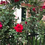 Marili Roda (Corfu)